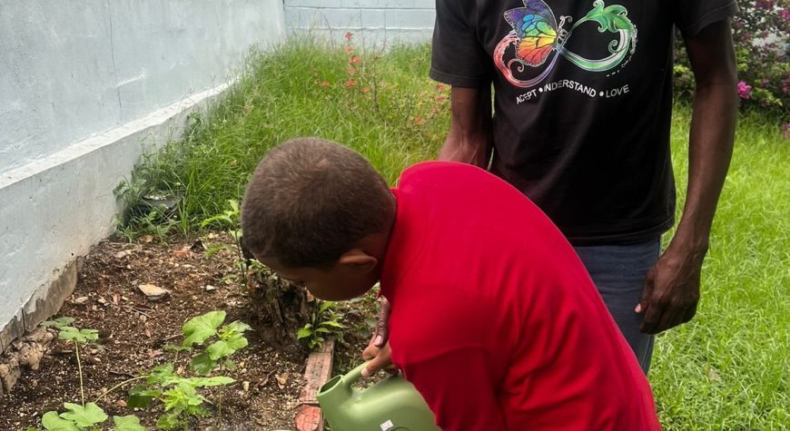 Zayden And Anthony Garden