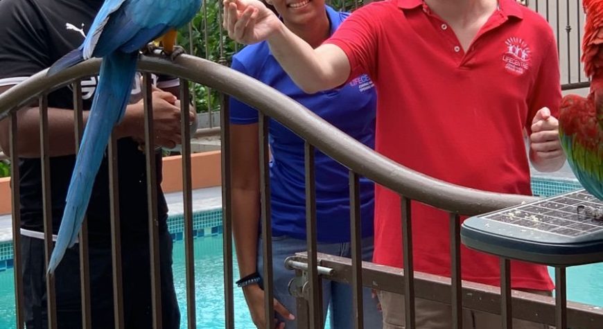 Gareth Feeding Parrot