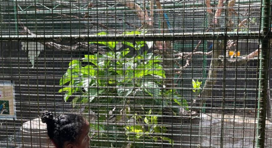 Kei At The Zoo
